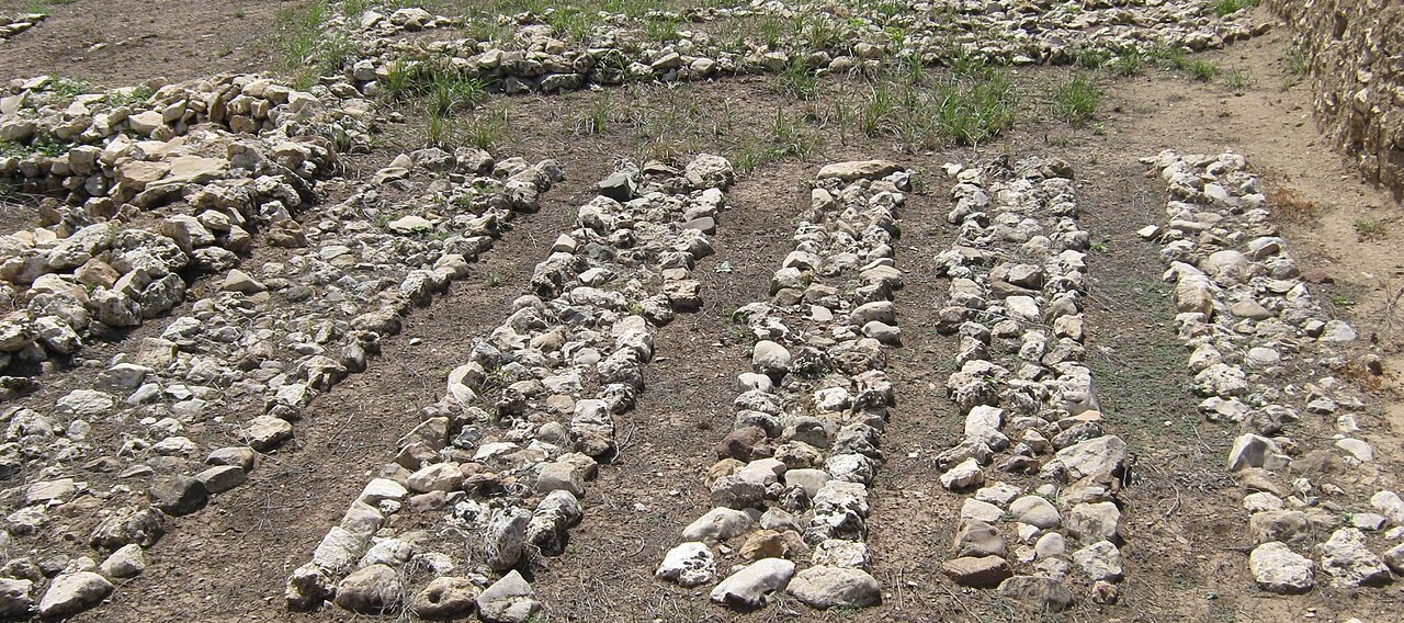 Çayönü Tepesi Header Image