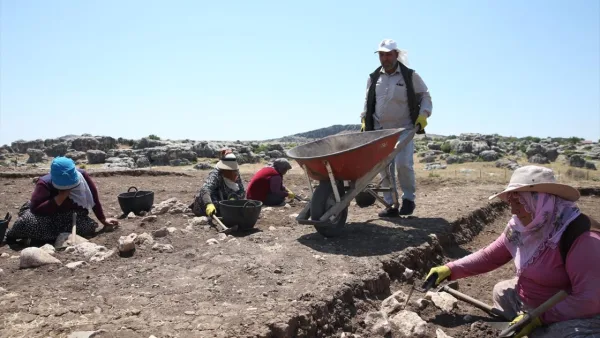 Excavation work has resumed in the western section of the 12,000-year-old Çayönü Tepesi after a 50-year hiatus.